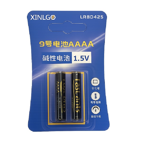 XINLGO AAAA E96 Surface Alkaline Battery (2 Pieces)
