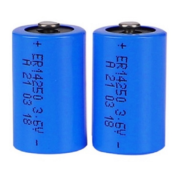 Doublepow ER14250 3.6V Type 1/2 AA Lithium Thionyl Chloride (Li-SOCl2) Cylindrical Battery (2 Pieces)
