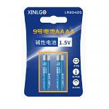 FastAnts AAAA E96 Surface Alkaline Battery (2 Pieces)