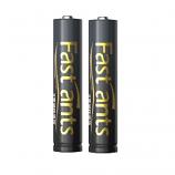 FastAnts AAAA E96 Surface Alkaline Battery (2 Pieces)