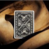 The Voyager™ Playing Cards By THEORY11
